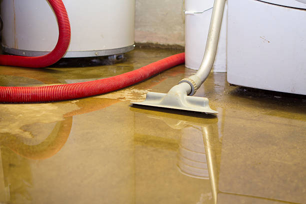 Best Water damage restoration near me  in Hackleburg, AL