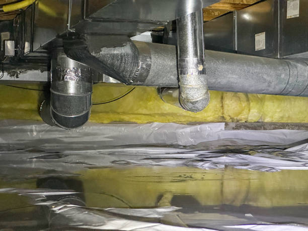 Best Fire Damage Restoration  in Hackleburg, AL