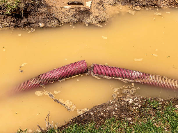 Best Residential water damage restoration  in Hackleburg, AL